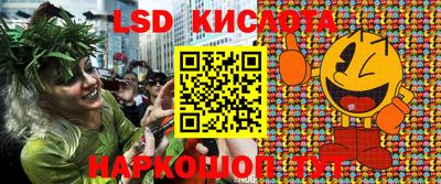 ПСИЛОЦИБИНОВЫЕ ГРИБЫ Владимир