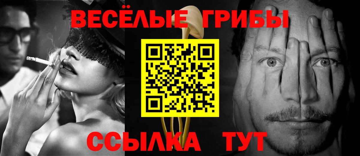 Каменск-Уральский  Псилоцибиновые грибы Psilocybe  Вход с VPN 
